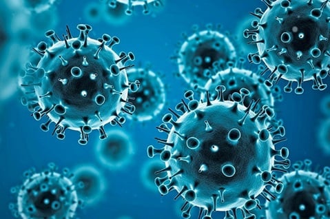 How coronavirus has affected the lives of many ?