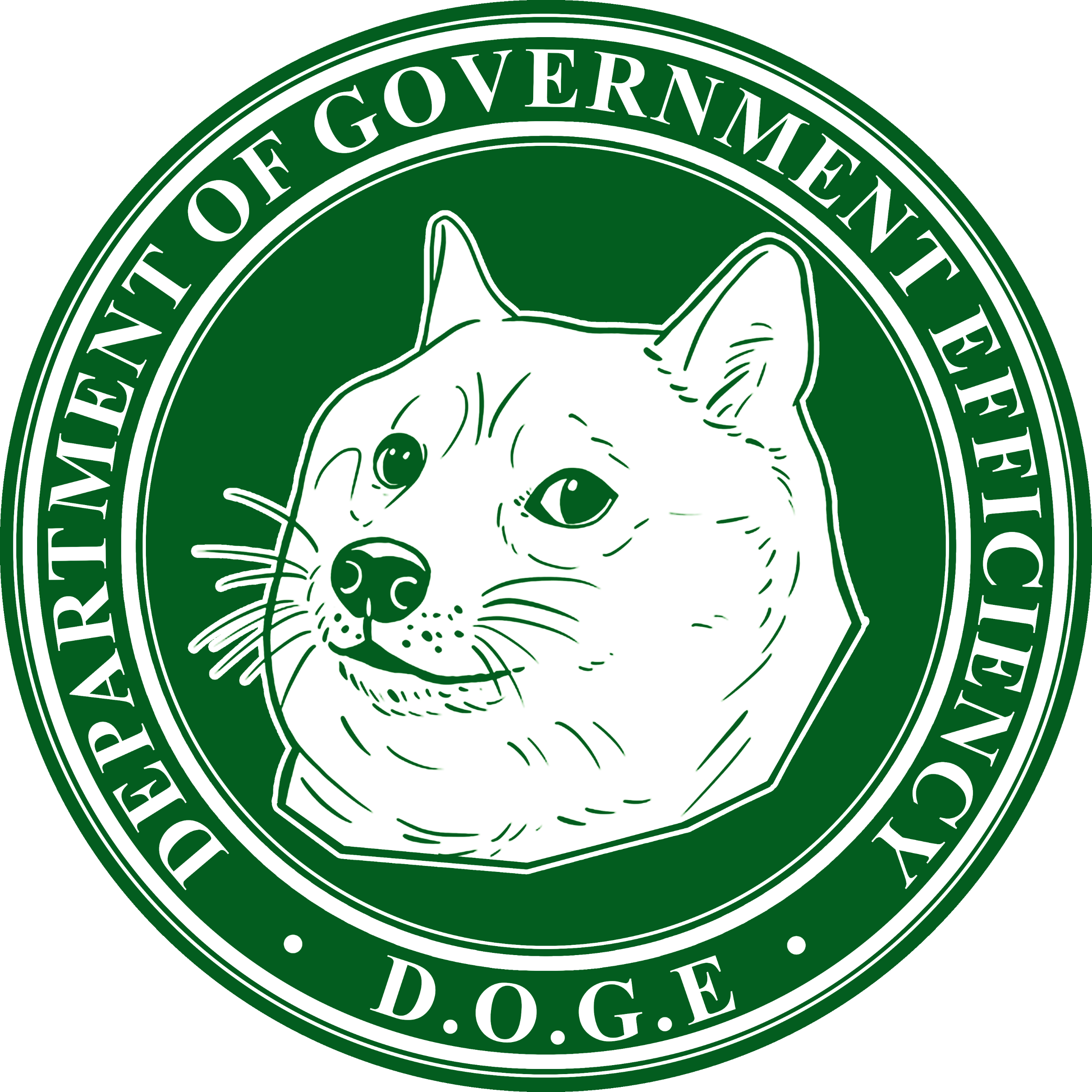 What is the Department of Government Efficiency (D.O.G.E)? Trump’s Initiative to Streamline Government Operations